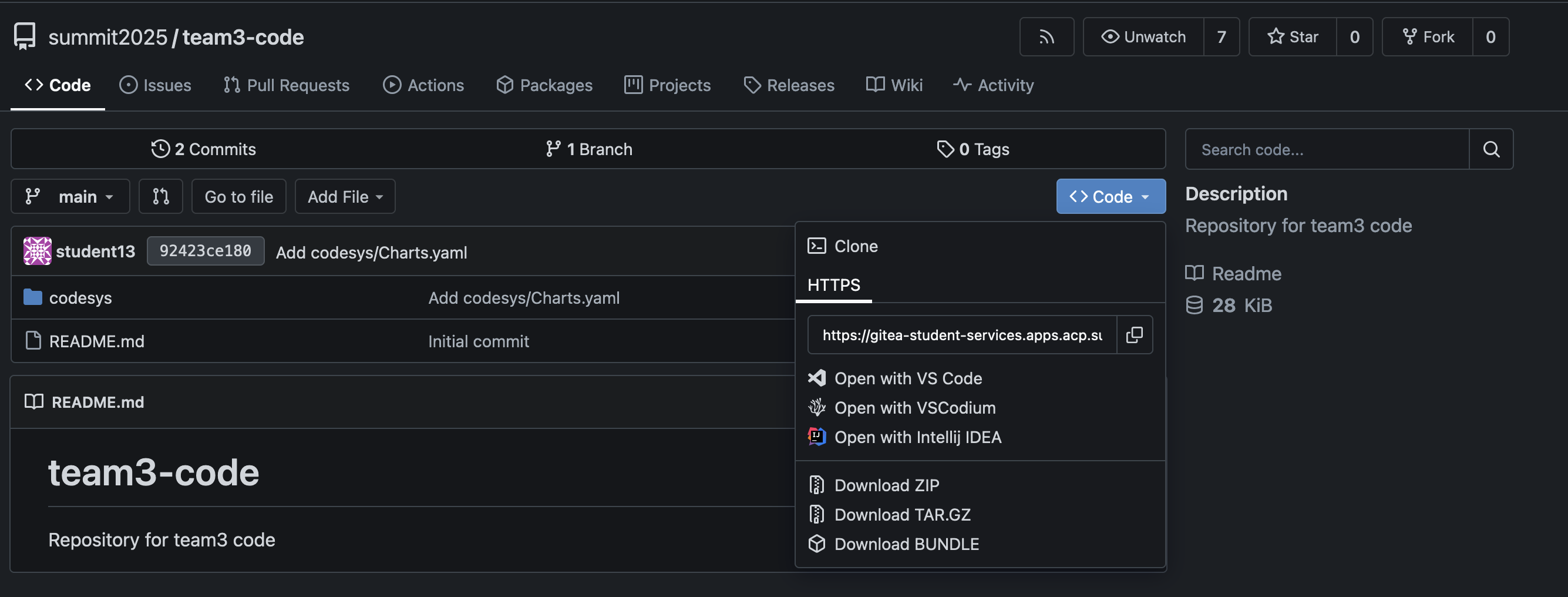 Gitea Repo URL