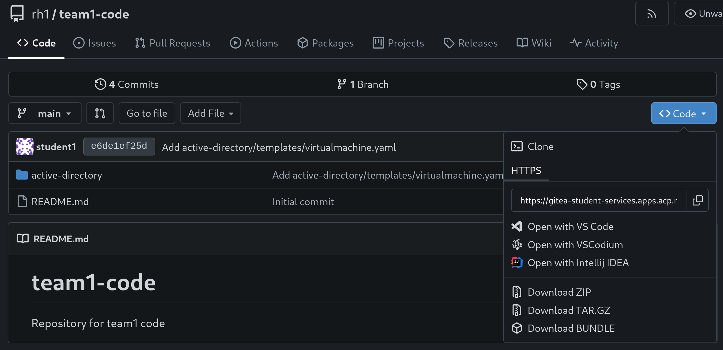Gitea Repo URL