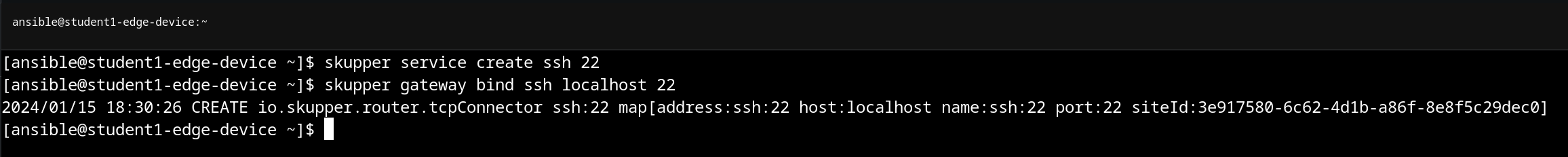 Expose SSH